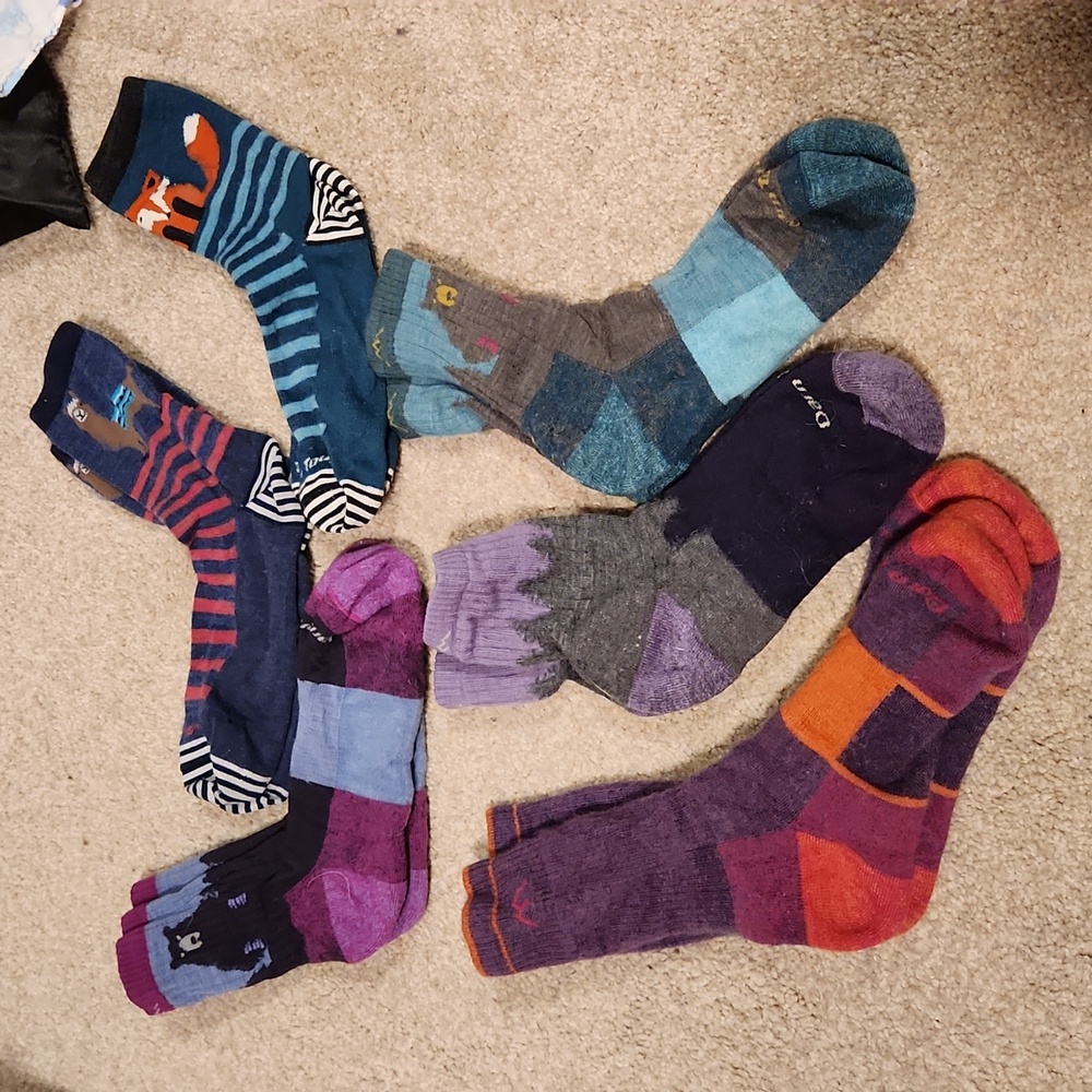 Six Pairs of Darn Tough Socks in Large
